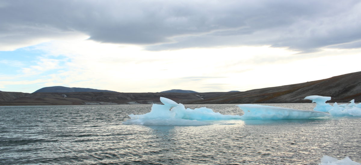 Dr. Balch Presents at Arctic Change 2014