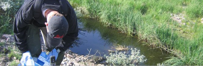 Using Tundra Wetlands to Treat Municipal Wastewater in Canada’s Far North